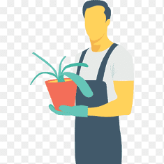 agro 21